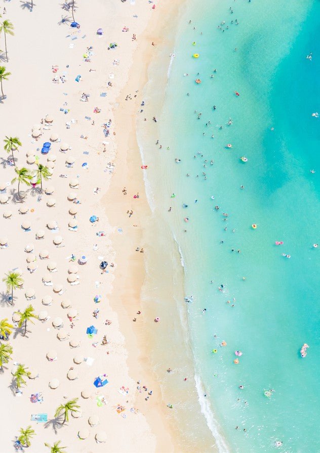 Tropical Confetti by Richard Podgurski