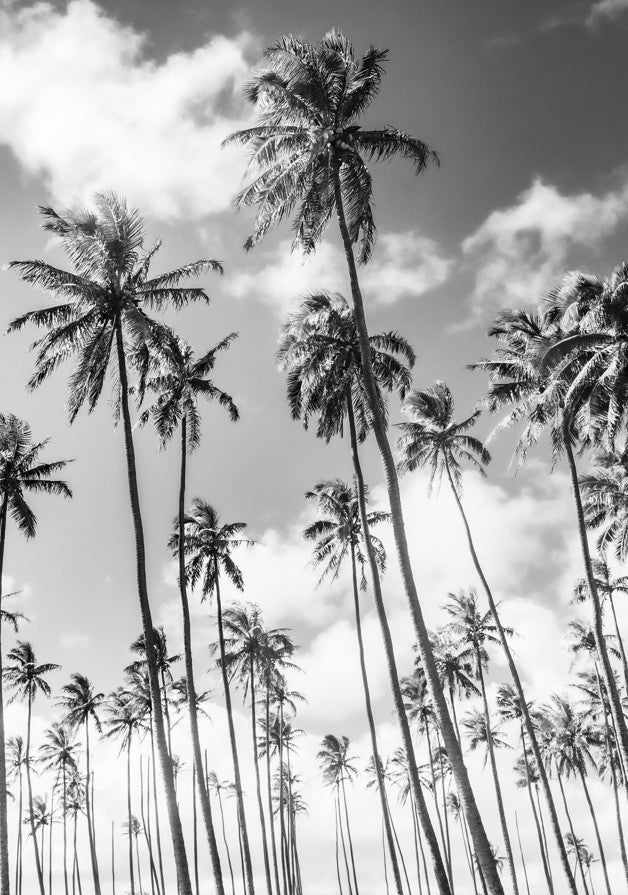 Tropical Pillars by Richard Podgurski