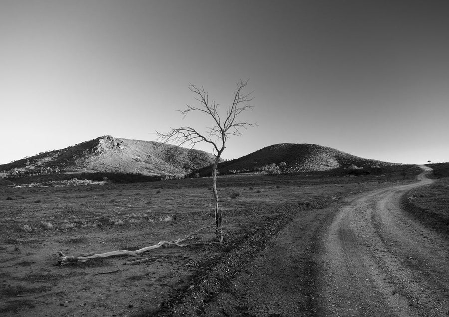 Warraweena - Dessert Hills by Steven Scott