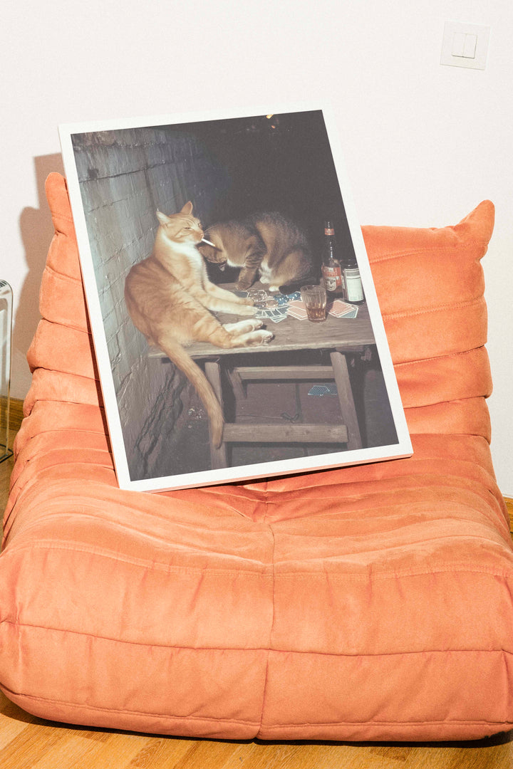 Feral After Dark Chips & Catnip
