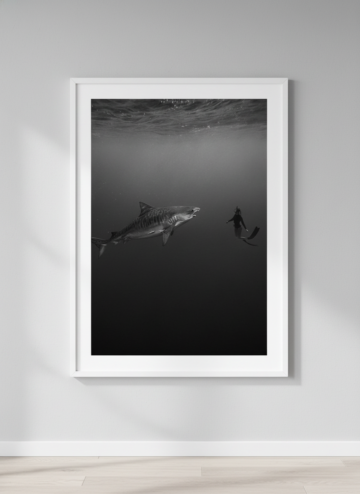 Contemporary wall art featured in a bright modern office workspace