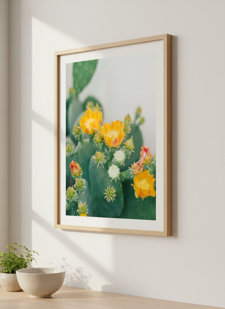 Artwork styled on the wall of a bright modern kitchen