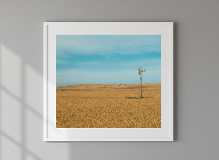Contemporary wall art featured in a bright modern office workspace