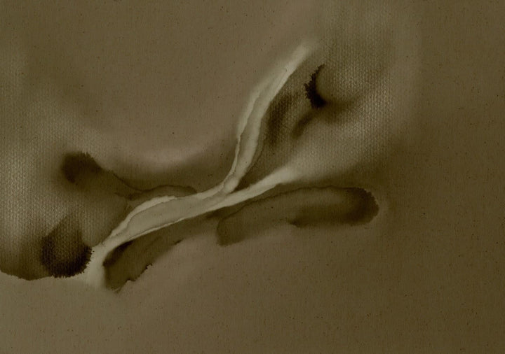 frame