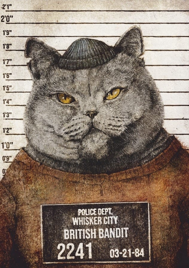 British Bandit By Mike Koubou