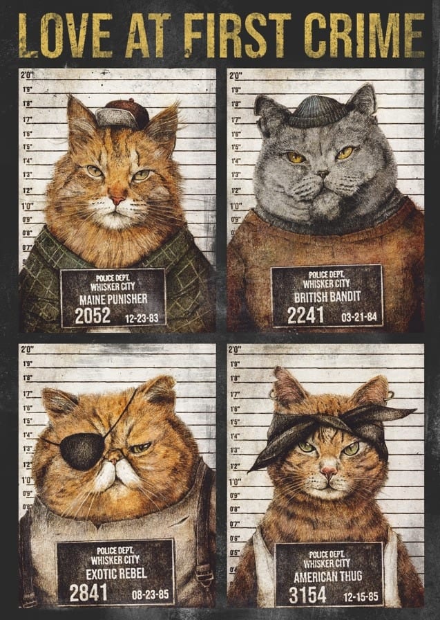Love At First Crime By Mike Koubou