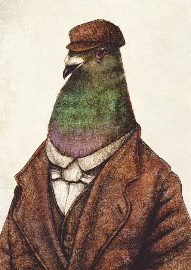Pigeon Of Yesteryears By Mike Koubou