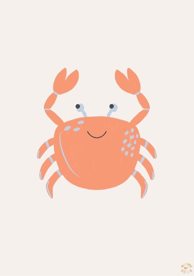 Crab By Menina Lisboa