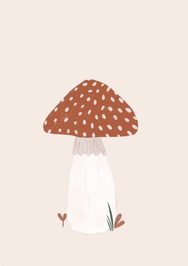 Mushroom By Menina Lisboa