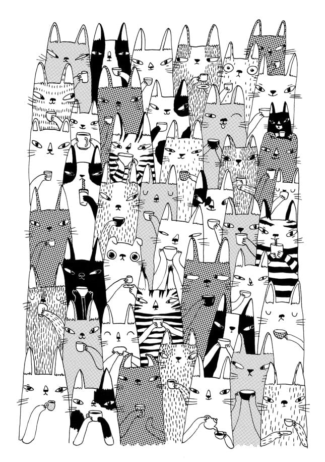 Cats Black & White By Luka VA