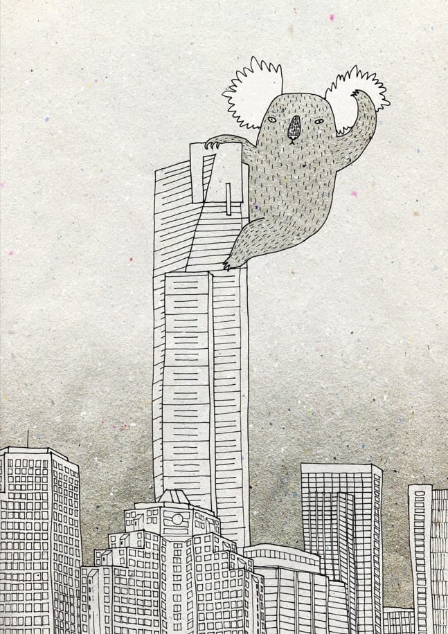 King Koala By Luka VA