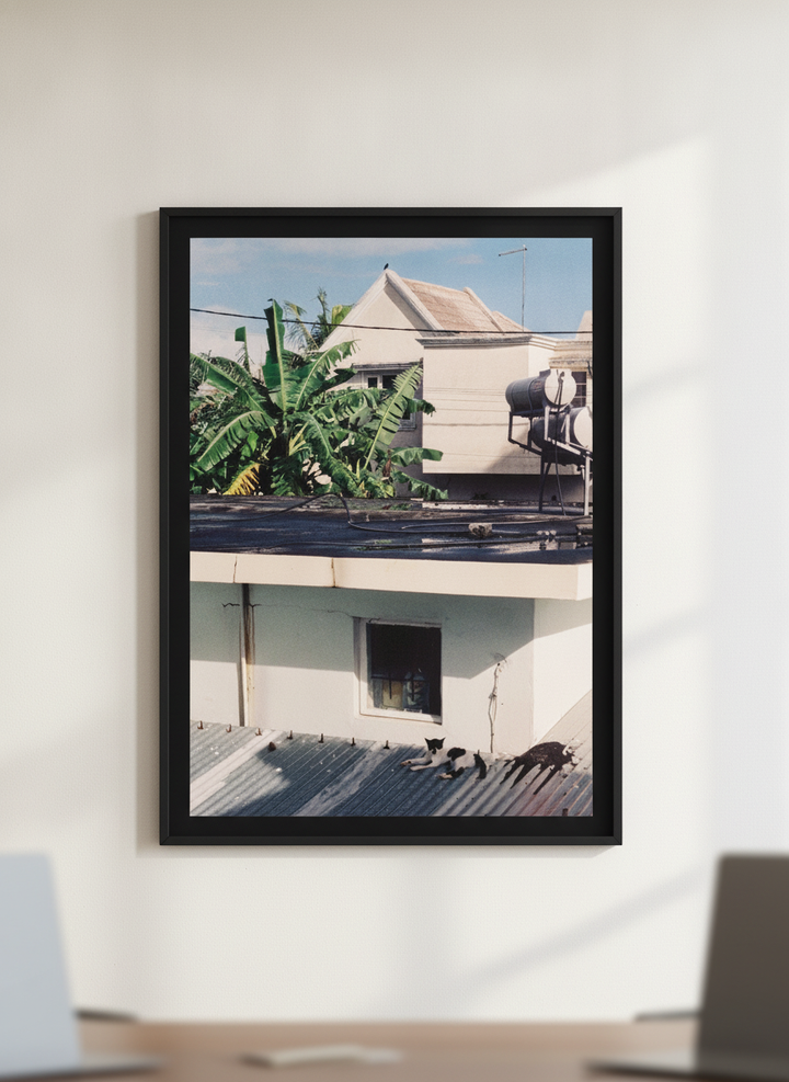 Contemporary wall art featured in a bright modern office workspace