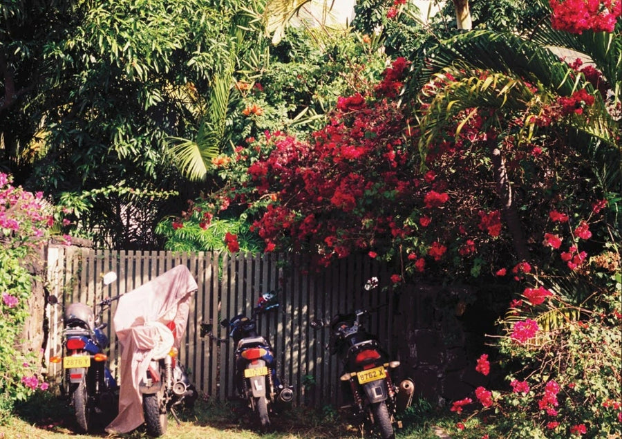 Teenage Dirt Bike (Landscape), ByDai
