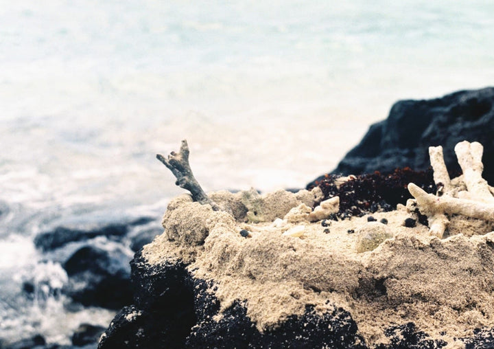 frame