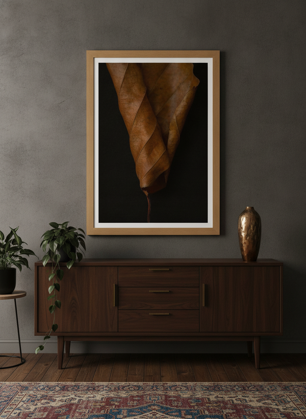 Curled Autumn Leaf By Alyson Fennell | Art & Canvas Print
