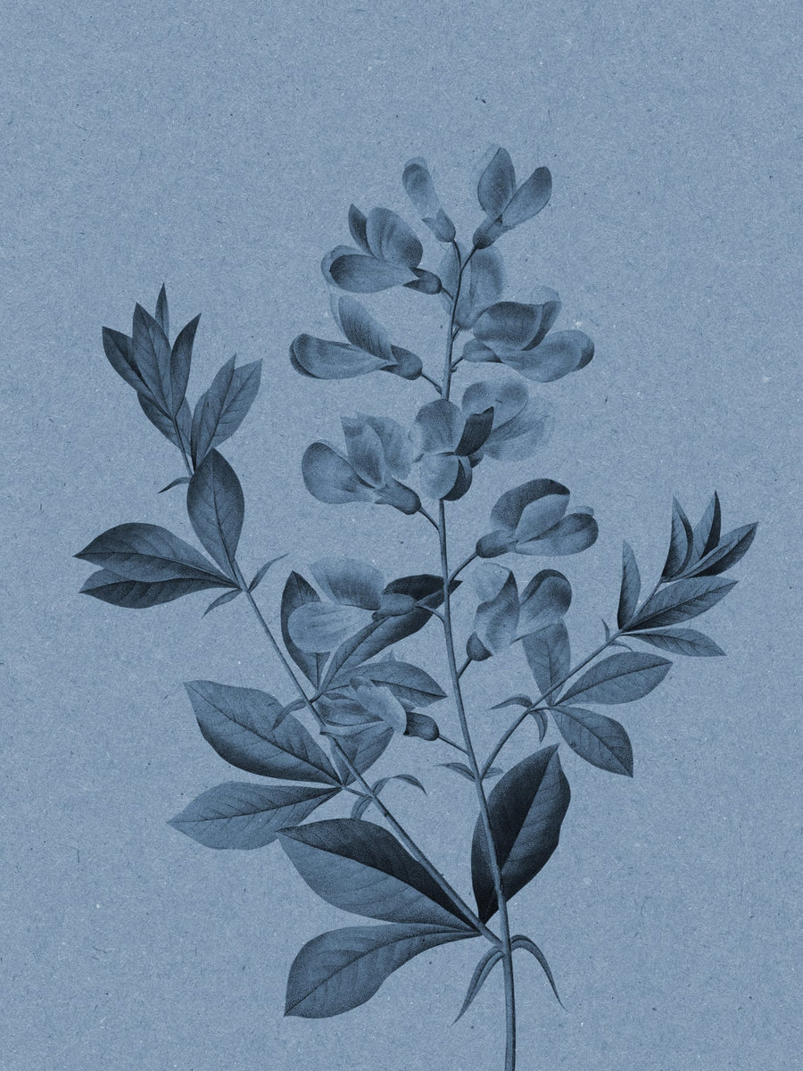 Elegant Blue Botanical By Wild Violets | Art & Canvas Print