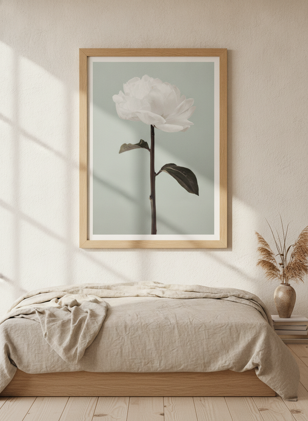 Serene White Blossom By Pictufy Studio III | Art & Canvas Print