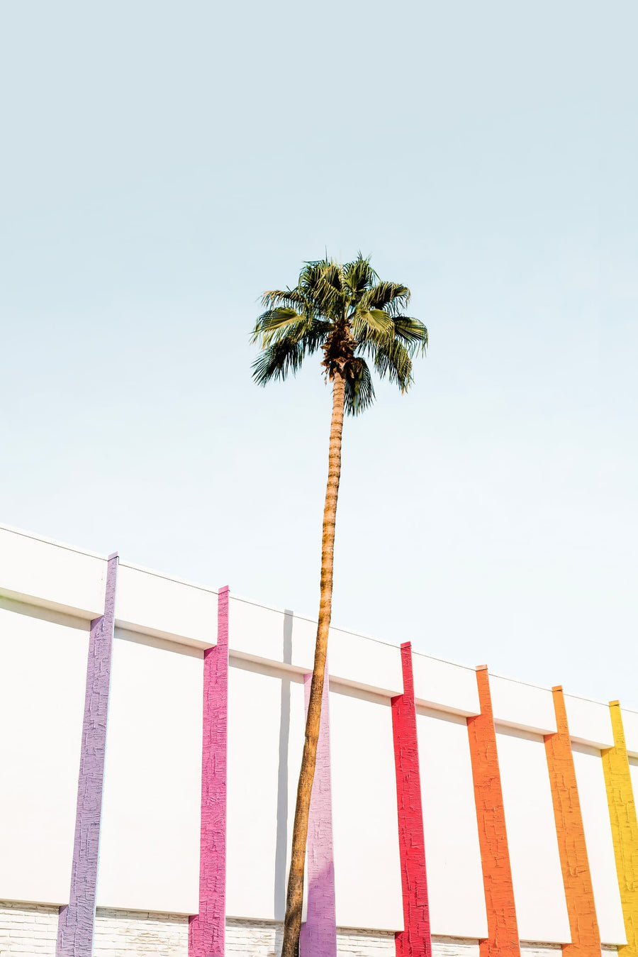 Palm Spring Colors 2 By Kathrin Pienaar | Art & Canvas Print