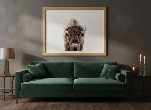 Bison By Kathrin Pienaar | Art & Canvas Print