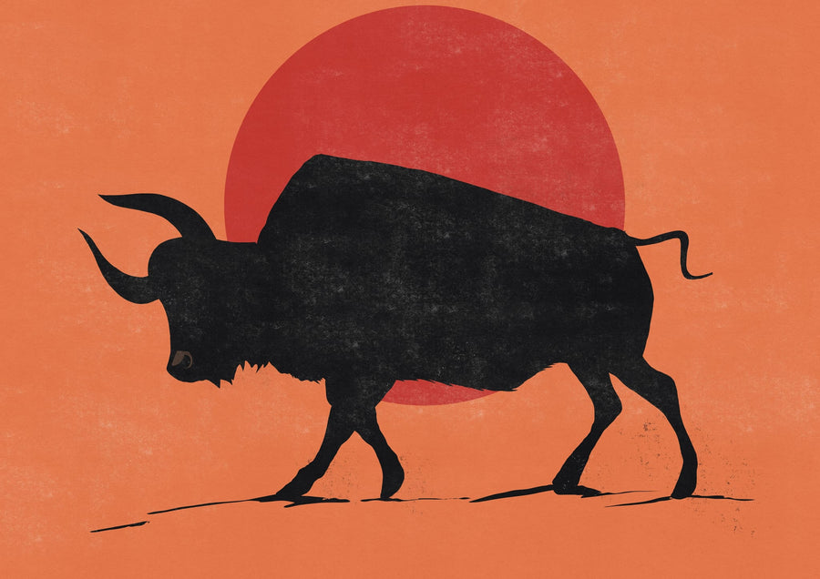 Black Bull Sunset By Nicholas | Art & Canvas Print