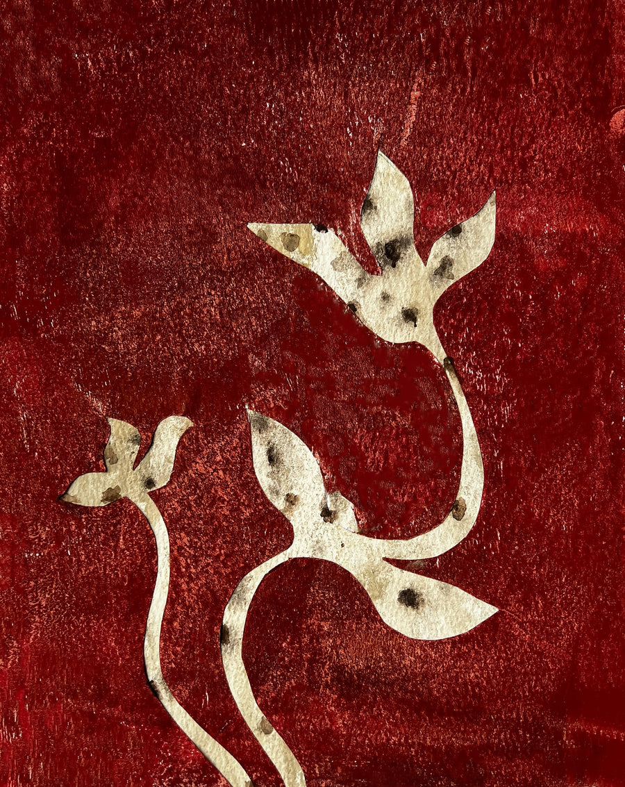 Terracotta Flower By Christina Misuro | Art & Canvas Print