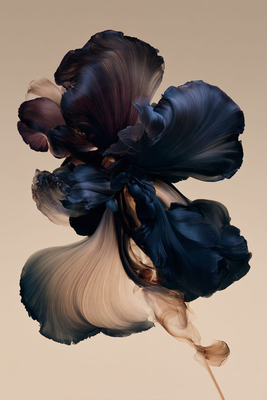 Midnight Petals in Bloom | Art & Canvas Print