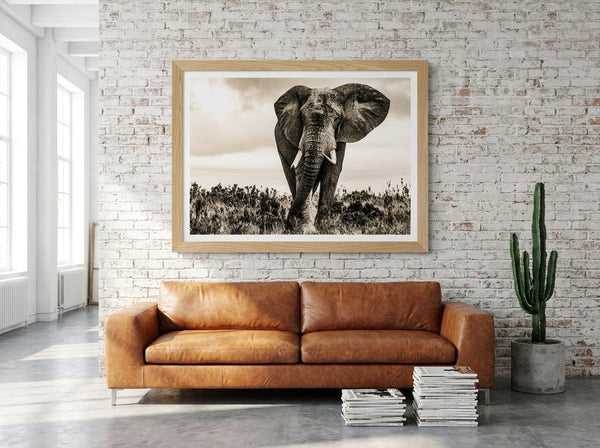 Majestic African Elephant By Heinrich Carstens | Art & Canvas Print