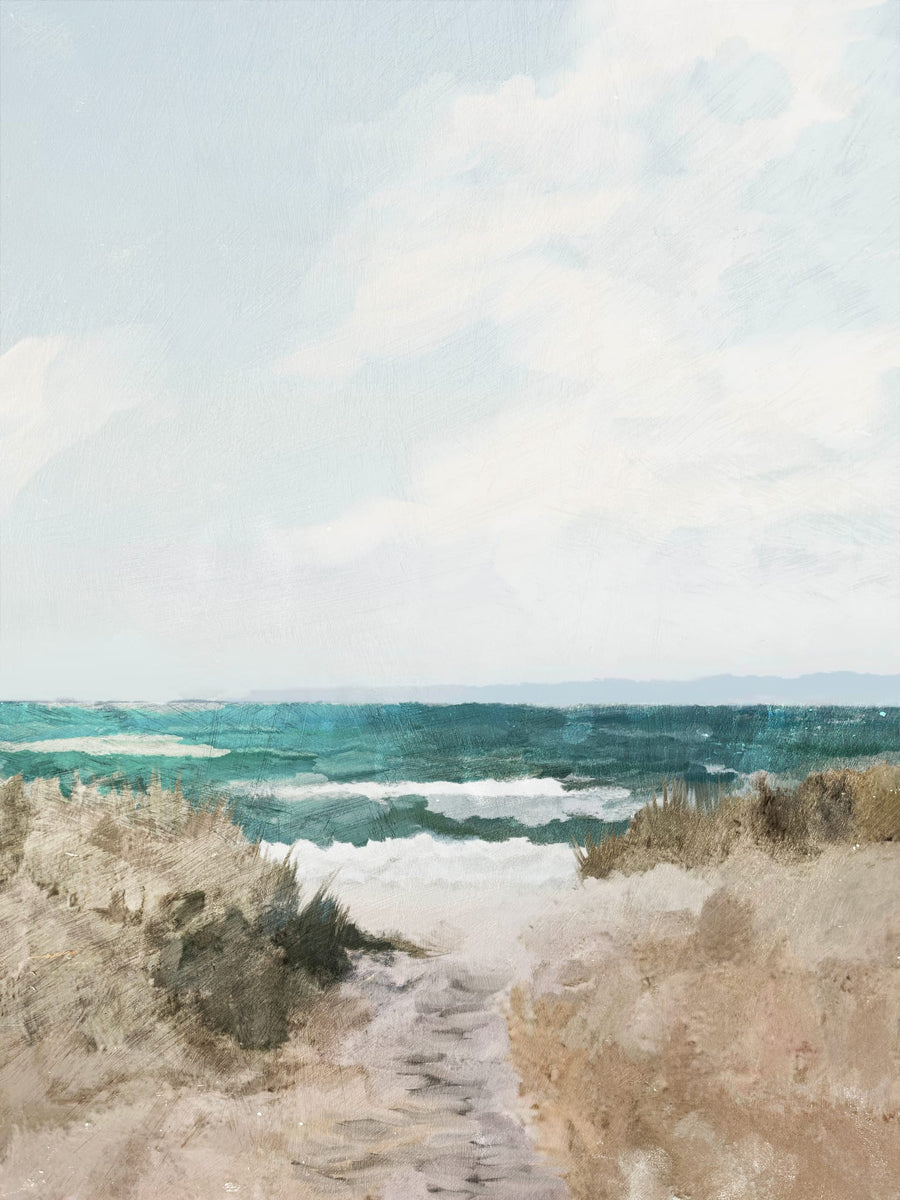 Beach Path By Dan Hobday | Art & Canvas Print