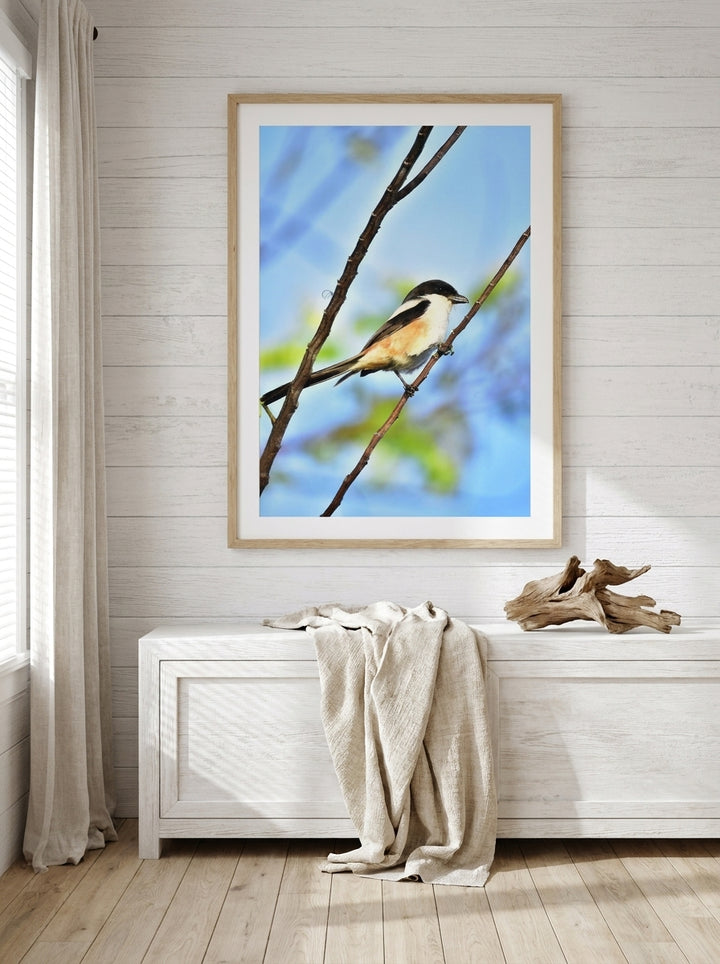Modern wall art print styled on the wall in a coastal living room