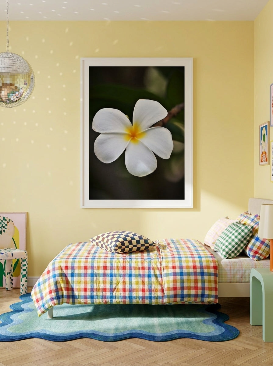 Modern wall art print styled on the wall in a colourful eclectic bedroom