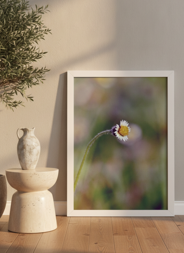 Little Sunbeam By Christian Peligrino | Art Print