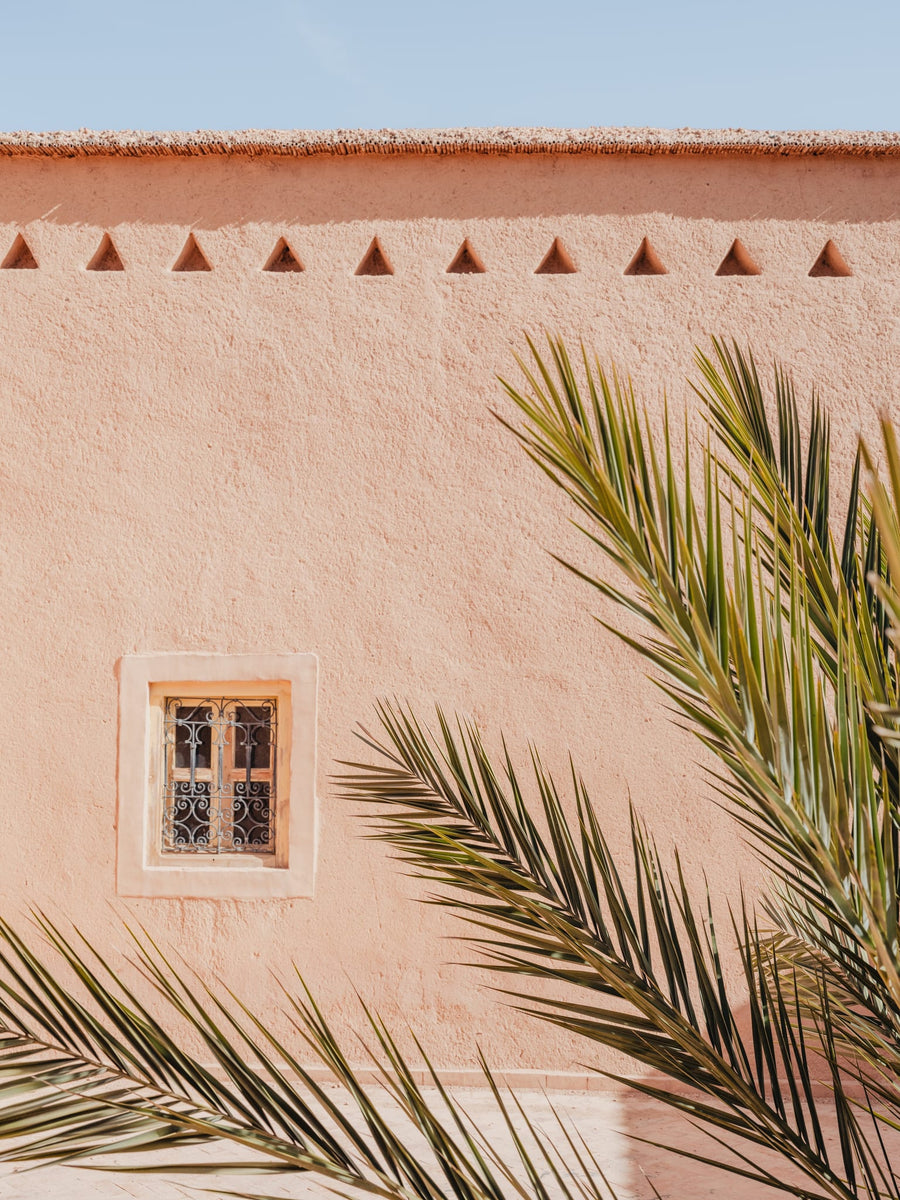 Pink Wall Palm Shadow By Photolovers | Art & Canvas Print