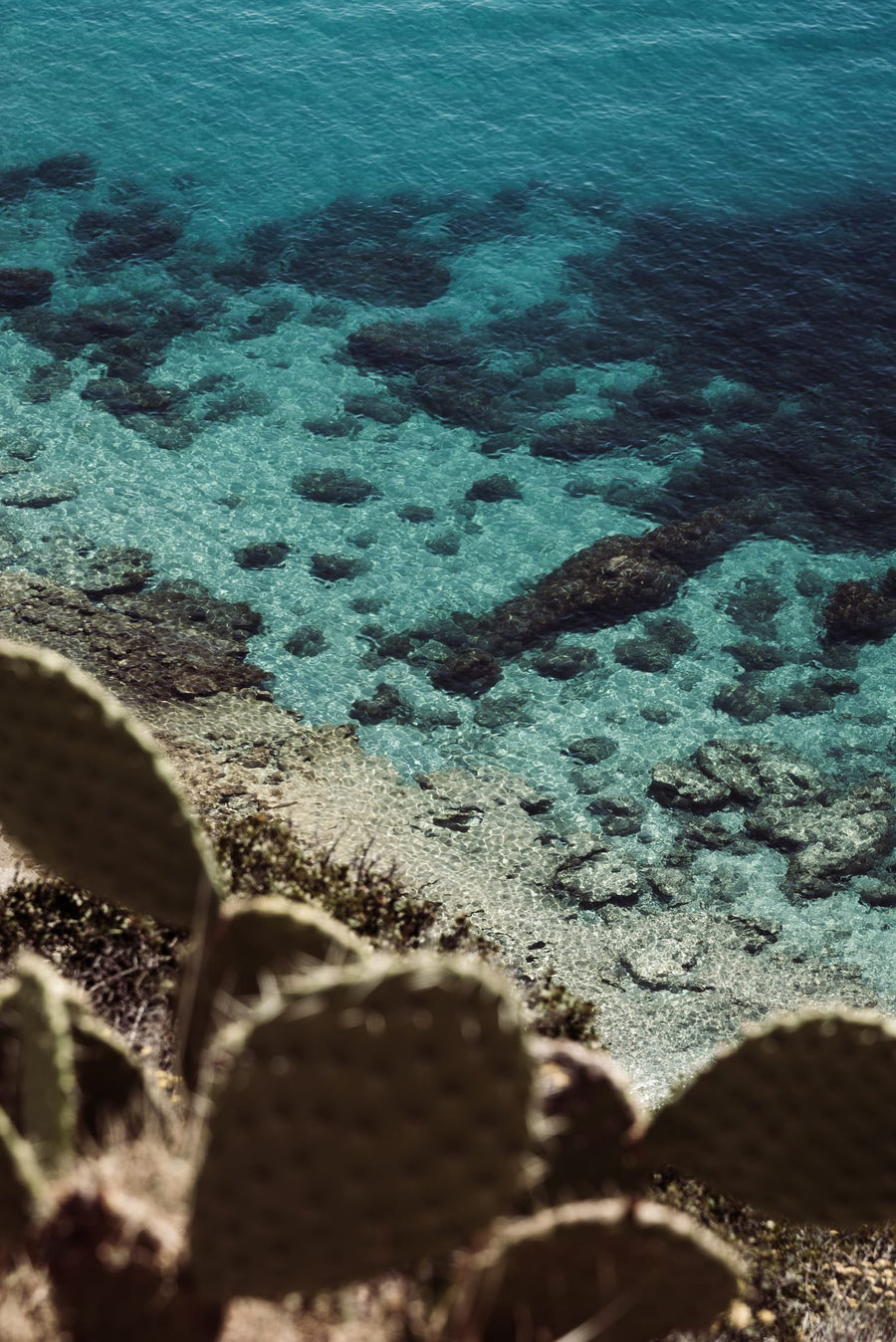 Turquoise Coastal View By Photolovers | Art & Canvas Print