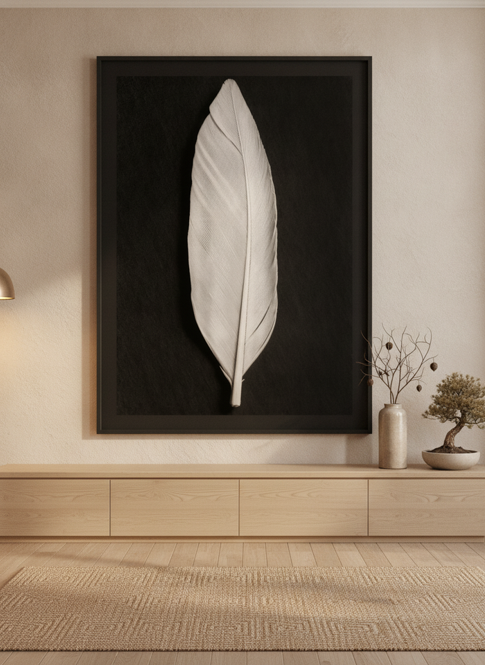 Elegant White Feather By Pictufy Studio III | Art & Canvas Print