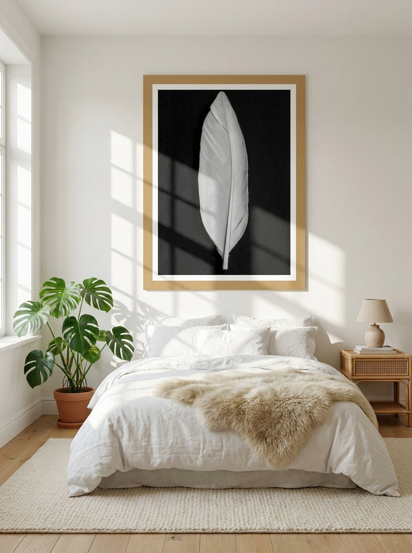 Elegant White Feather By Pictufy Studio III | Art & Canvas Print