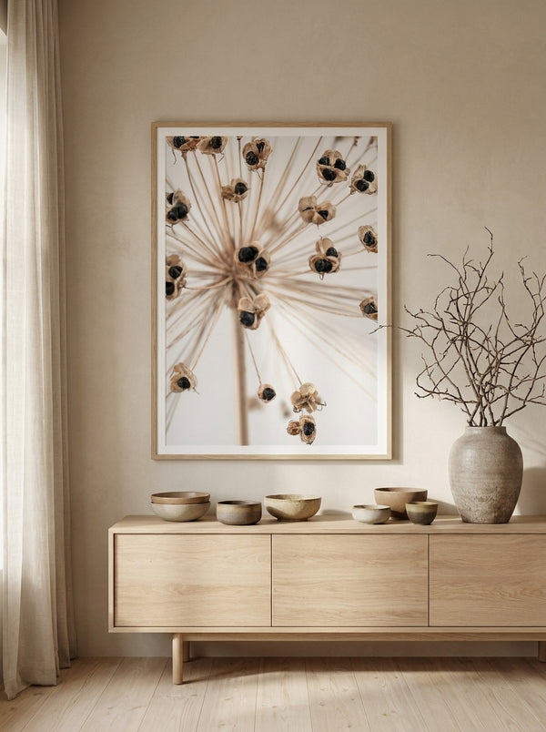 Delicate Allium Seed Pods By Pictufy Studio III | Art & Canvas Print