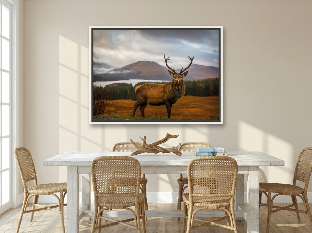 Canvas wall art with a white surround styled on the wall in a coastal dining room