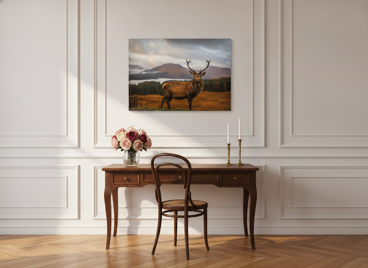 Stretched canvas wall art styled on the wall in a Parisian home office