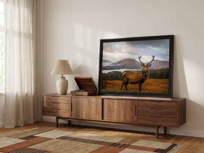 Majestic Highland Stag By Adrian Popan | Art & Canvas Print