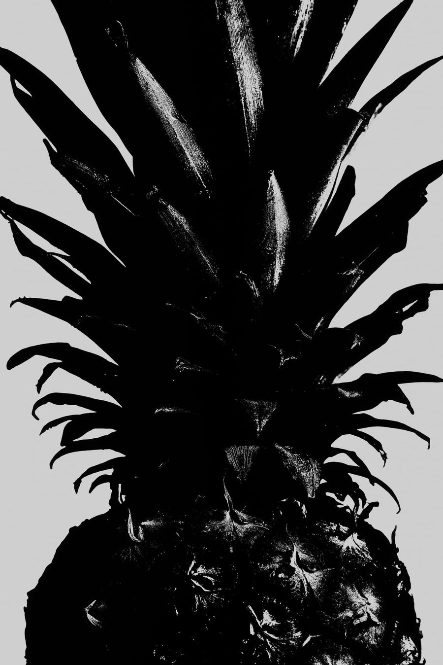 Bold Black Pineapple By Pictufy Studio III | Art & Canvas Print