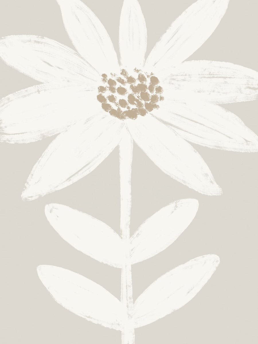 Minimalist White Daisy By Krisztina Jung | Art & Canvas Print