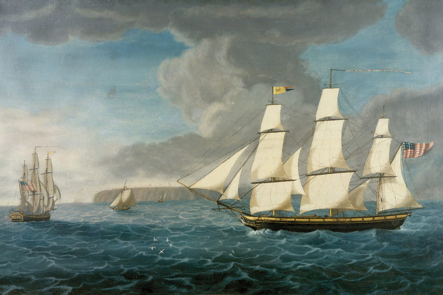 Friendship By Deborah Revell | Art & Canvas Print