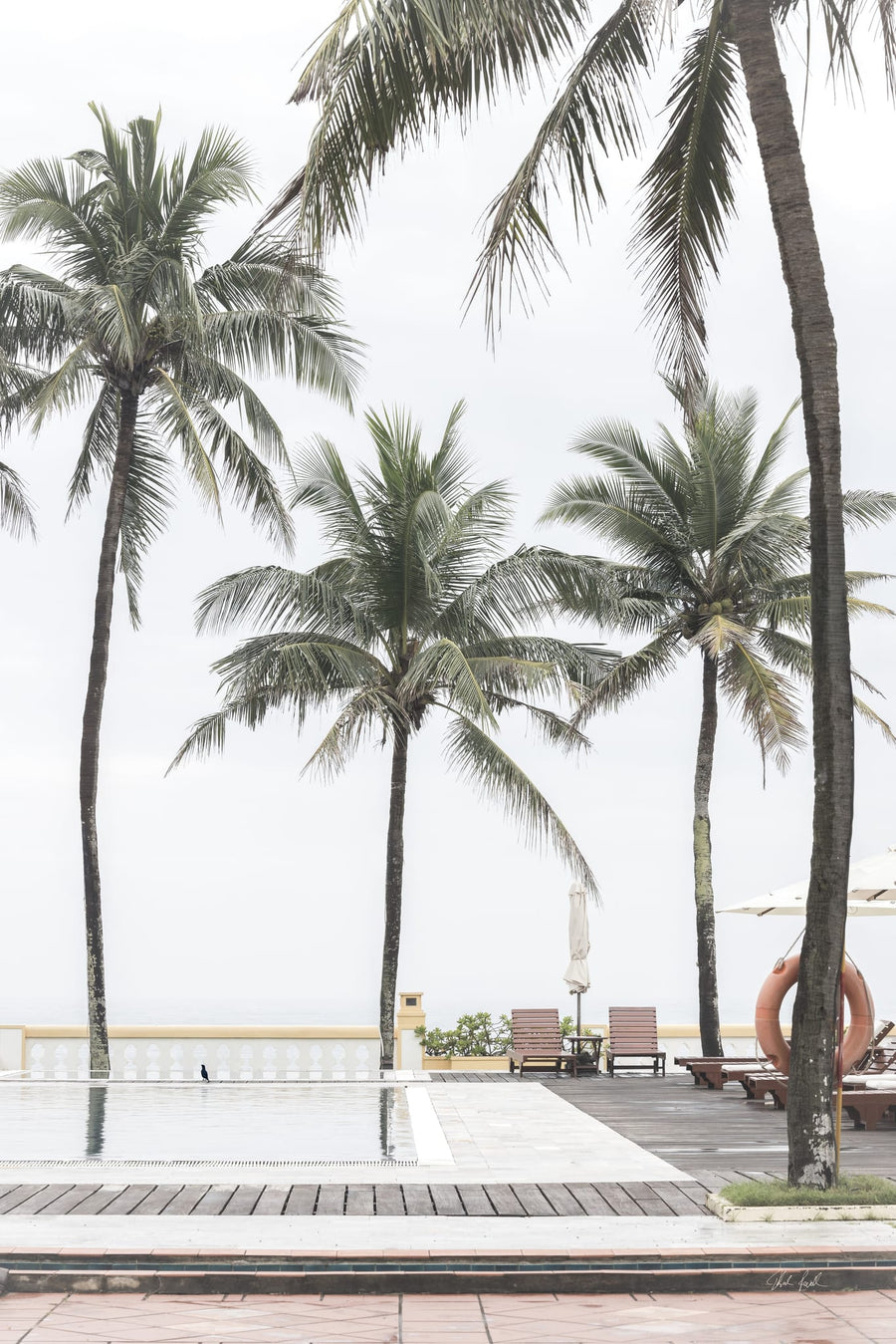 Paradise By Deborah Revell | Art & Canvas Print