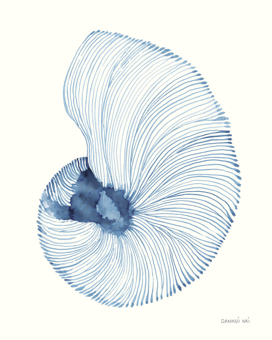 Nautilus in Blue V By Danhui Nai | Art & Canvas Print