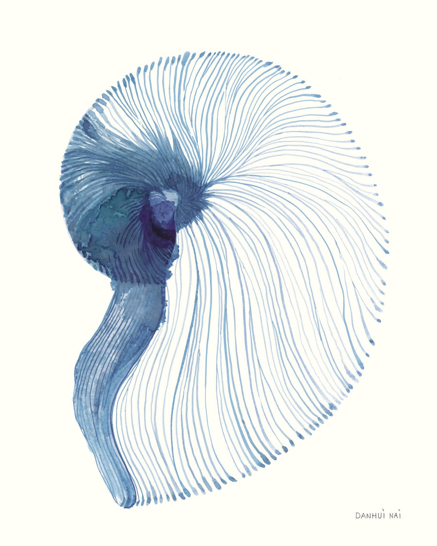 Nautilus in Blue VI By Danhui Nai | Art & Canvas Print