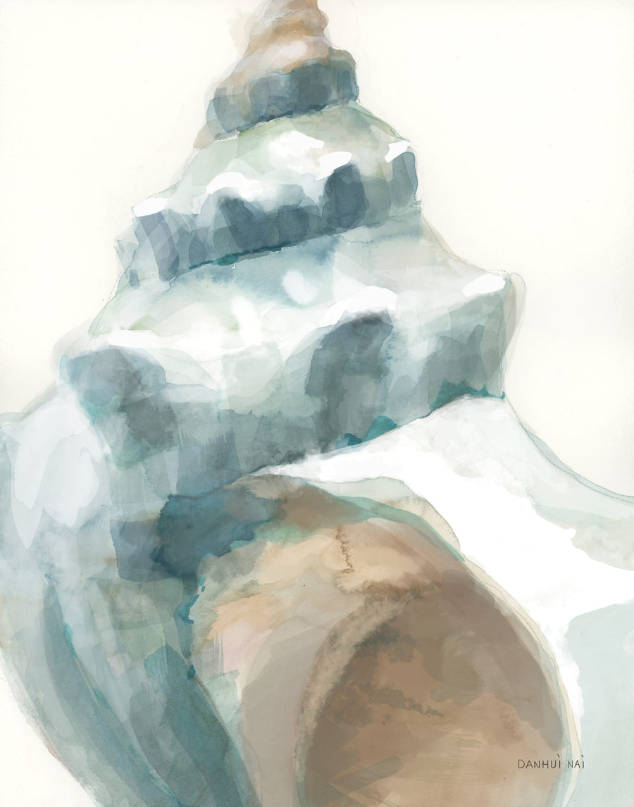 Timeless Conch By Danhui Nai | Art & Canvas Print