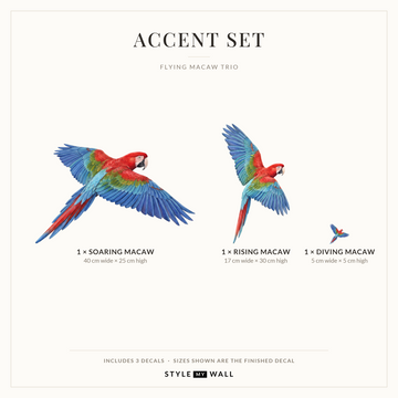 Flying Macaws Wall Sticker Decals: Accent Set sizes