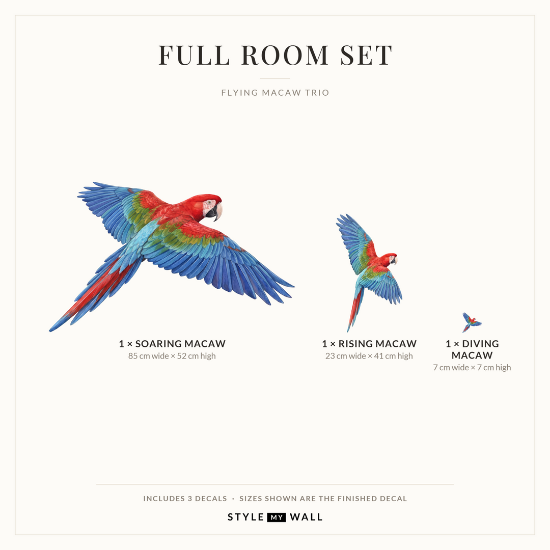 Flying Macaws Wall Sticker Decals: Full Room Set sizes
