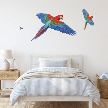 Flying Macaws Wall Sticker Decals wall decals on a boy's bedroom wall (Full Room (Large) size)