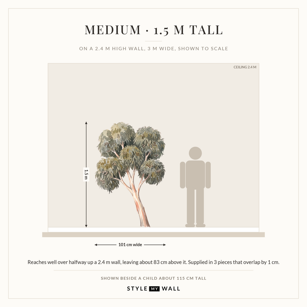 Ghost Gum Tree Wall Sticker Decals: Medium on a 2.4 m high wall, to scale beside a child